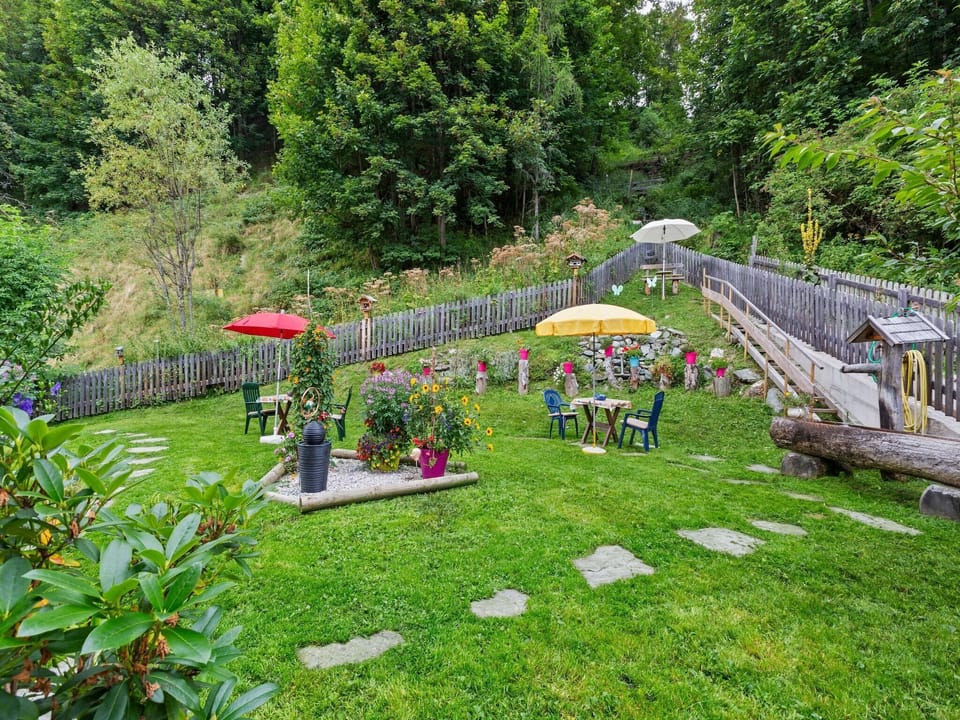 Garden [summer]