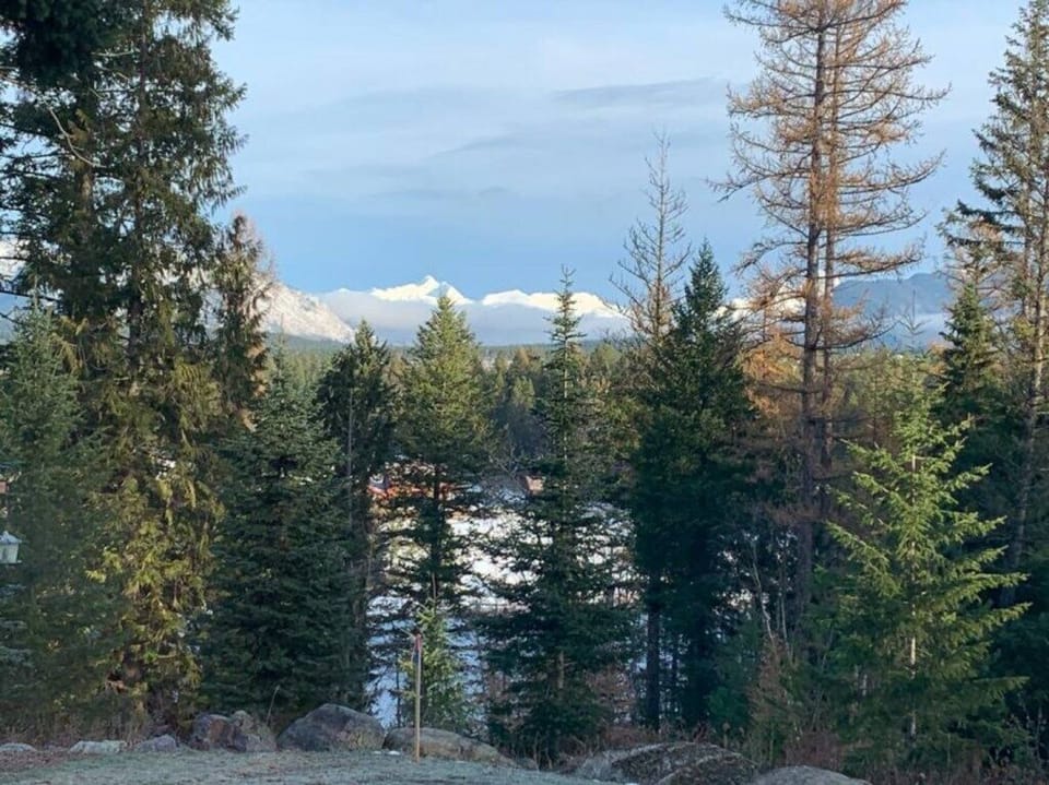 28538-83058-bf049xPUSzKLLplMkGUjA9GrVxUB0o5G08o--k4zOUzo-62cda902d9805