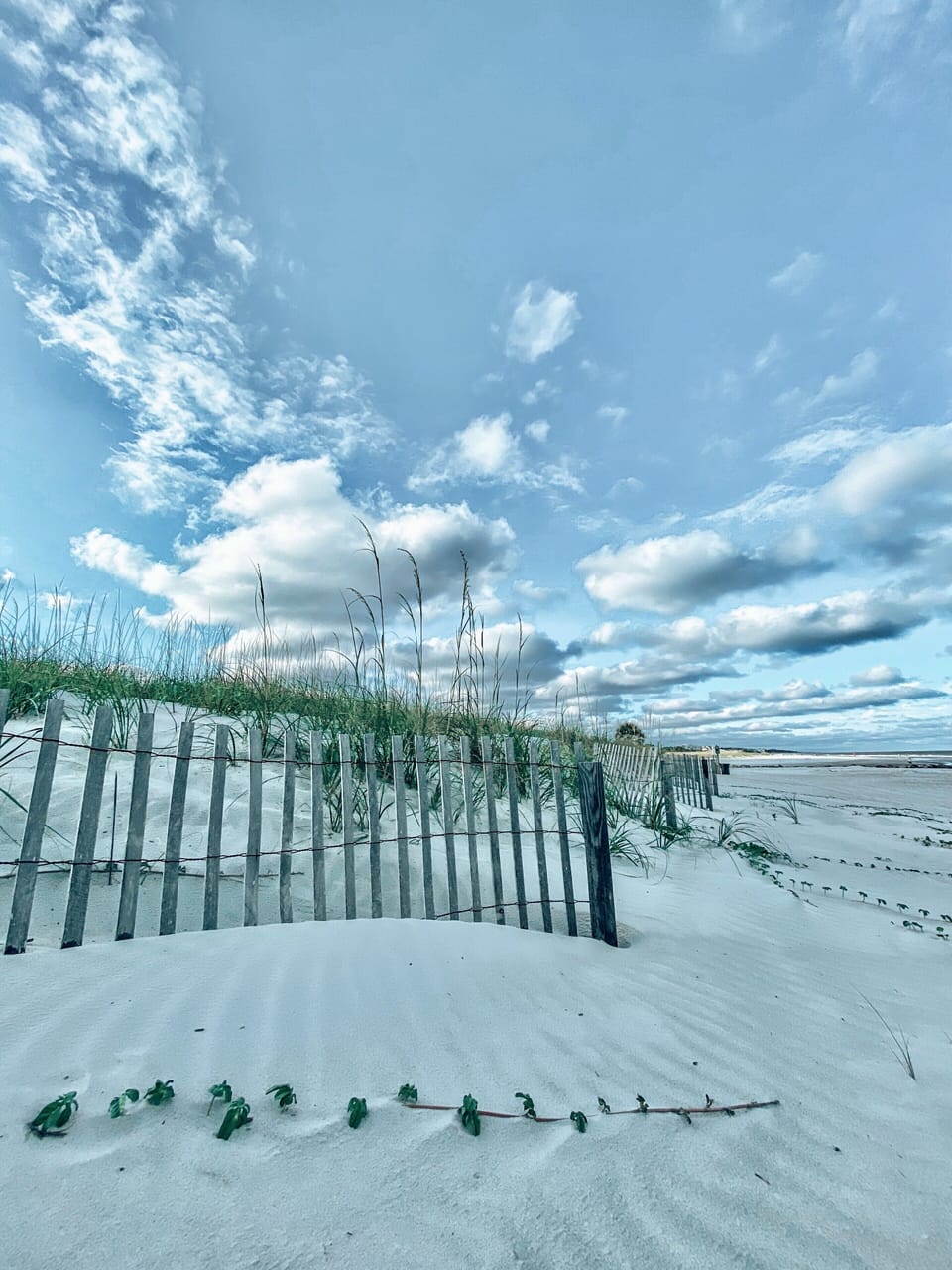 Just steps from the beach (or complimentary beach shuttle)
