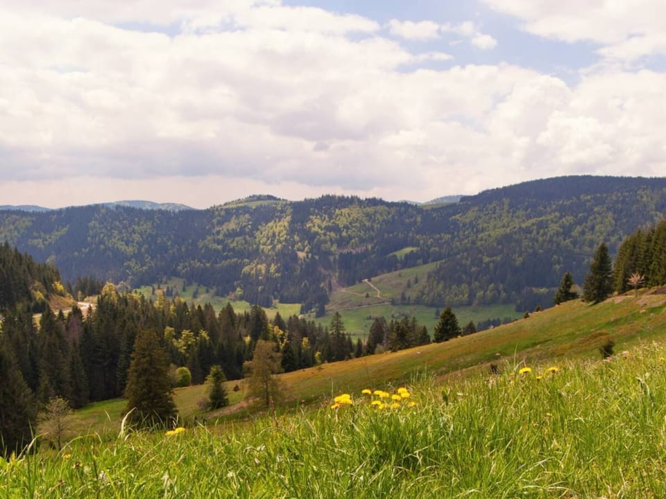 Region [summer] (>5 km)