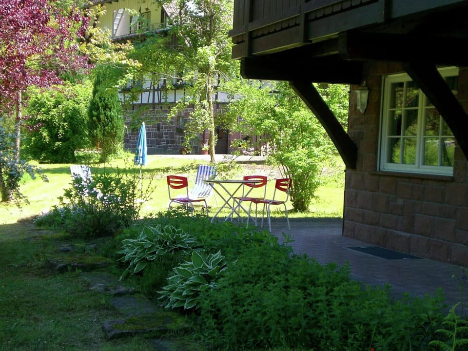 Garden [summer]