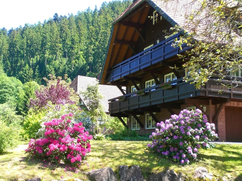 Holiday Home Exterior [summer]