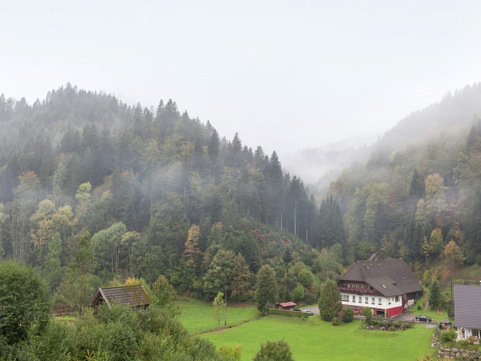 View from Holiday Home [summer]