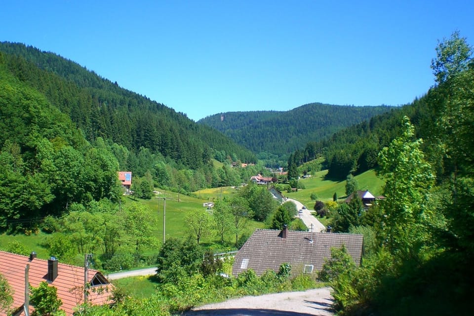 Immediate Surroundings [summer] (<1 km)