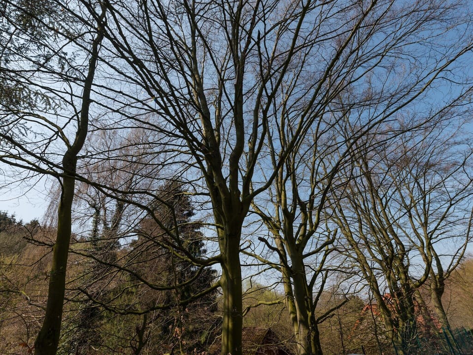 Immediate Surroundings [summer] (<1 km)