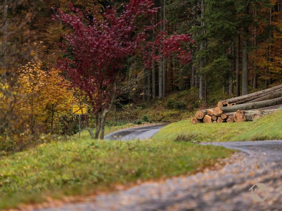 Region [summer] (>5 km)