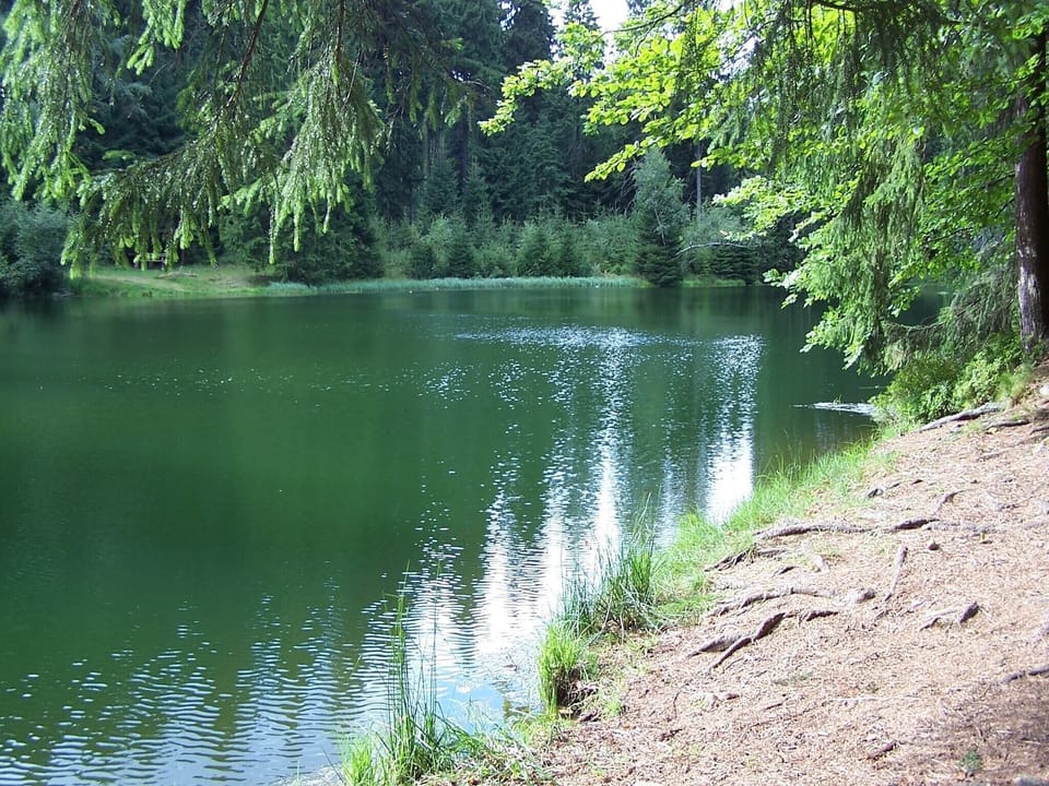 Region [summer] (>5 km)
