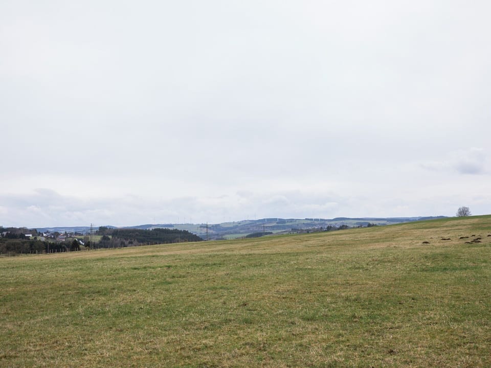Immediate Surroundings [summer] (<1 km)