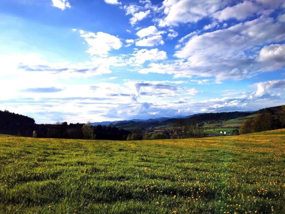 Region [summer] (>5 km)