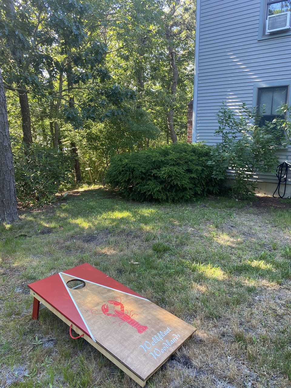 front yard