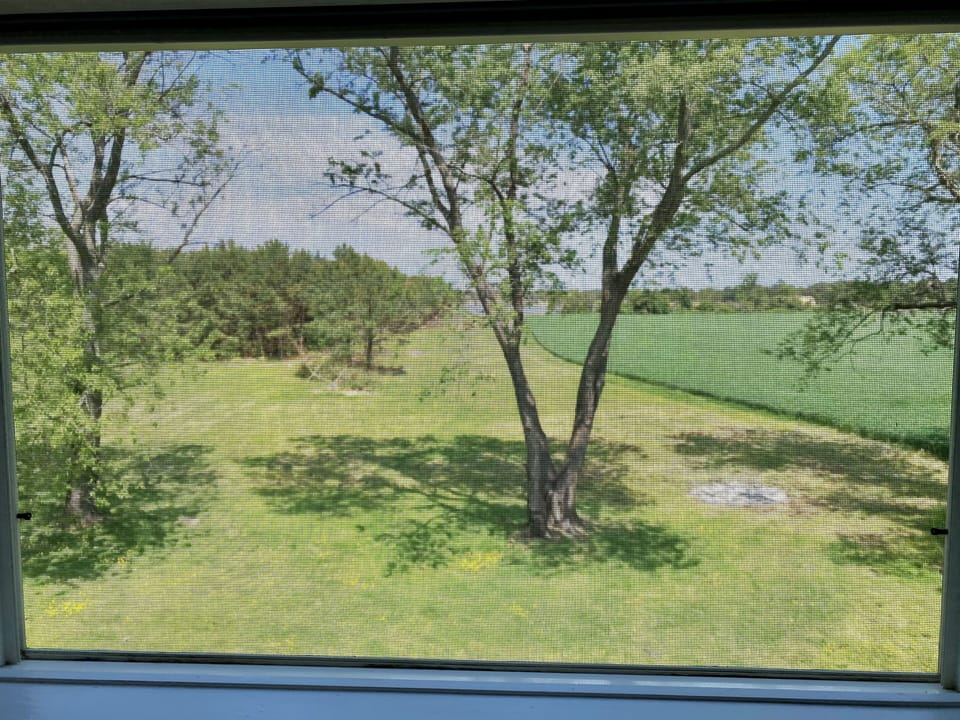 View from Bedroom.