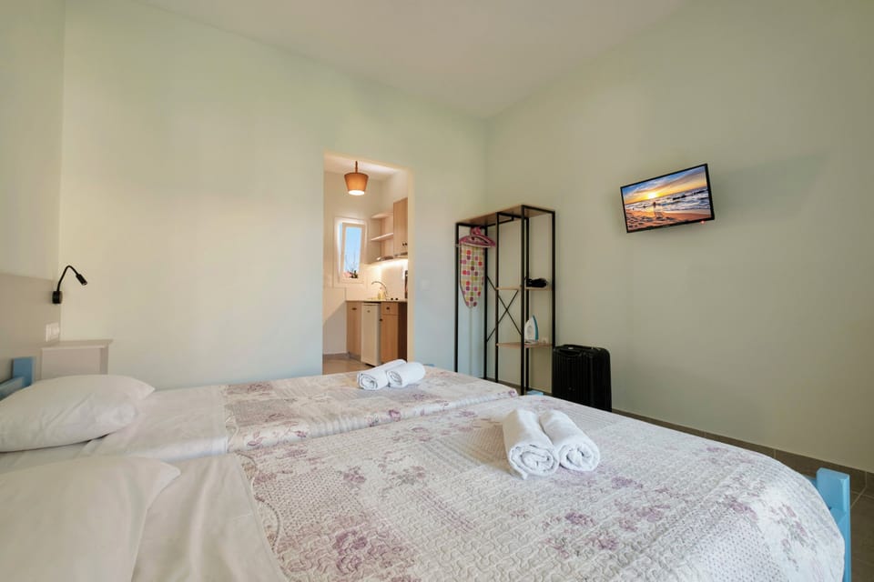 The studios feature an open plan design, with modern details