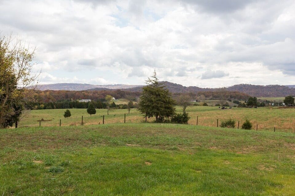 Backyard farm views