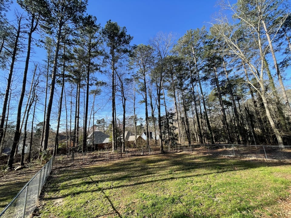 Backyard fenced