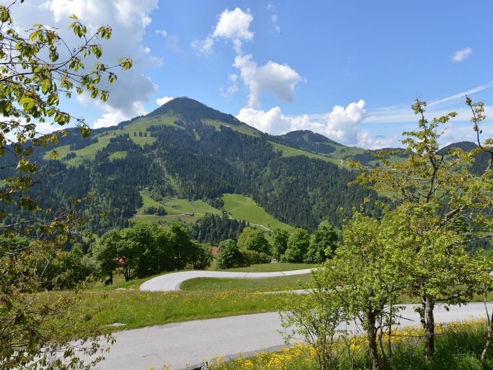 Single room, shower / toilet, balcony HB - Gasthof Gruberhof Bed and Breakfast in Salzburgerland