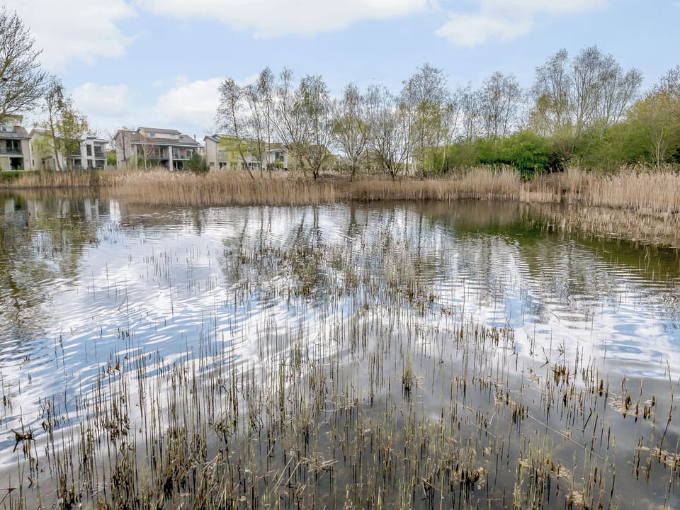 Setting | Honey Cottage, Cirencester