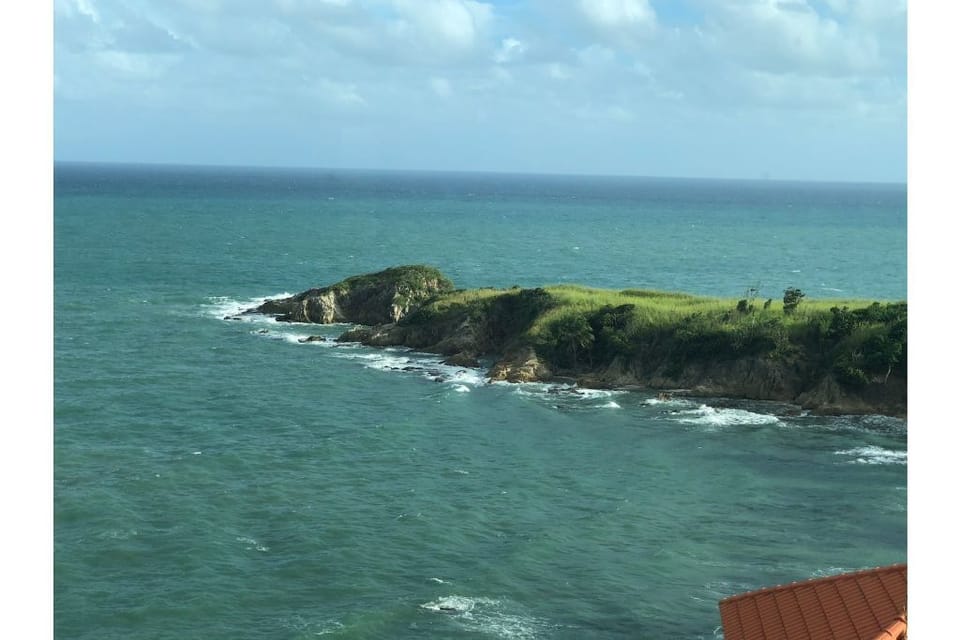 View from the living room