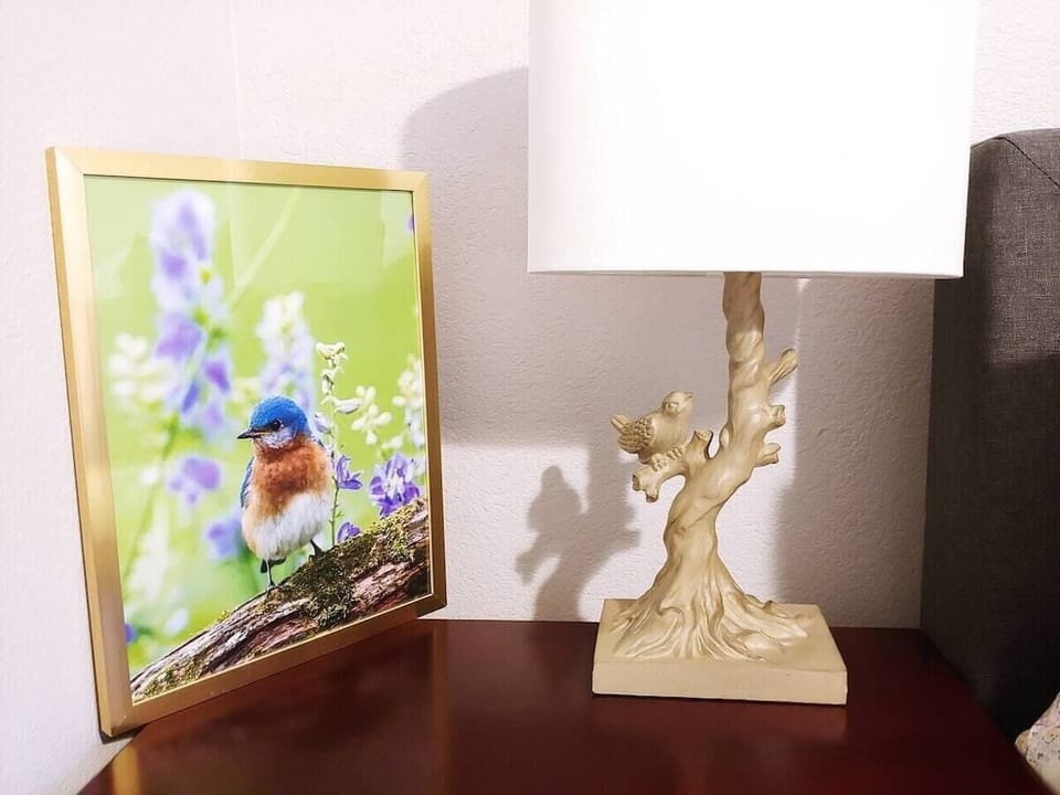 Master bedroom of walk-in