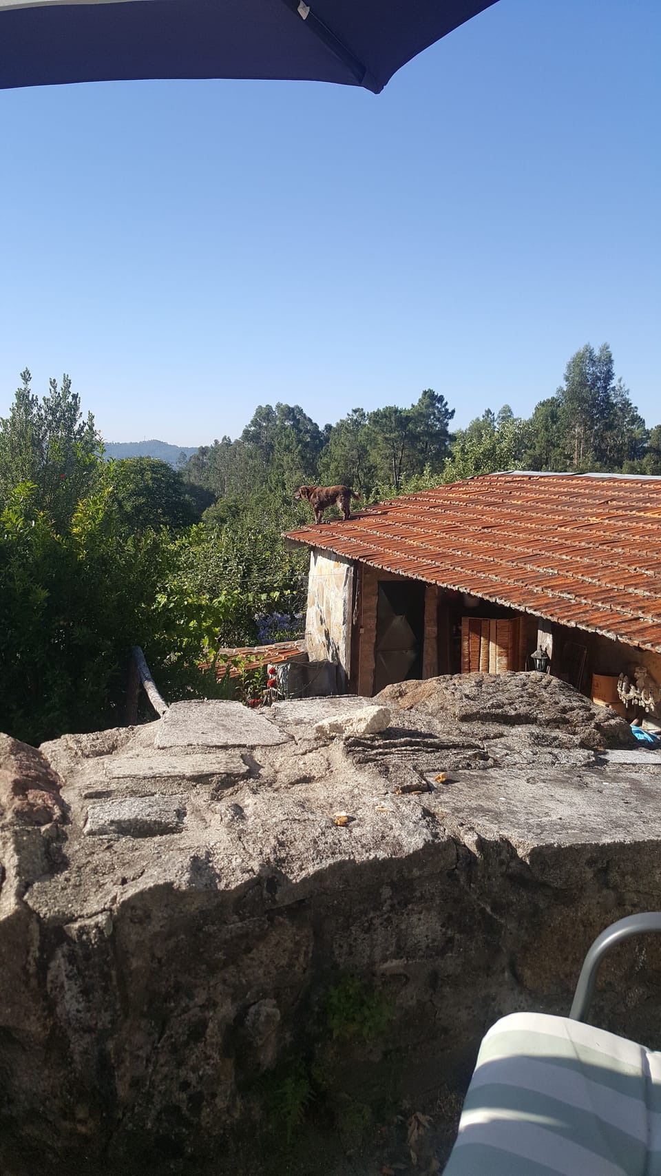 View from property