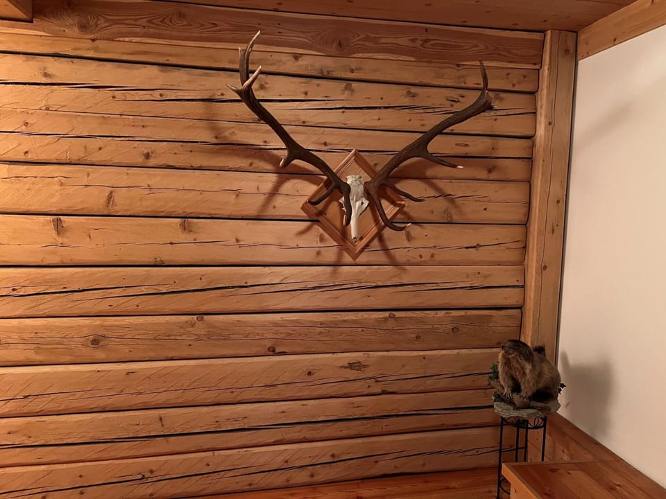 Brown, Wood, Wood Stain, Twig, Floor, Wall, Natural Material, Hardwood, Plank