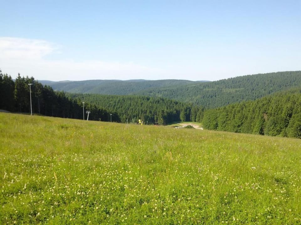 Region [summer] (>5 km)