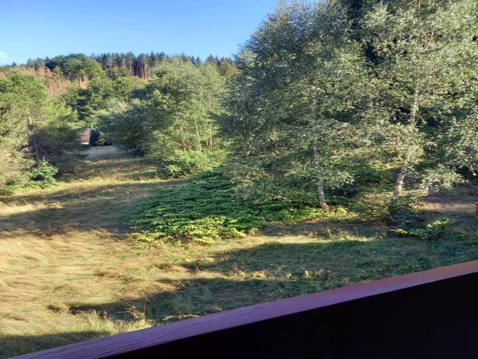 Region [summer] (>5 km)