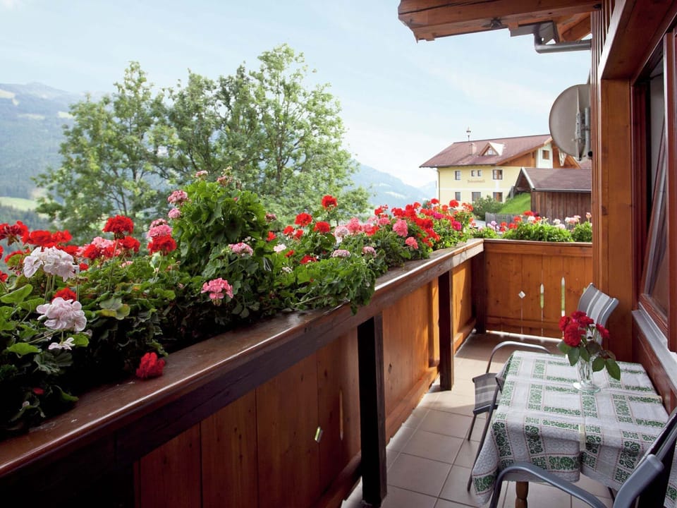 Patio / Balcony
