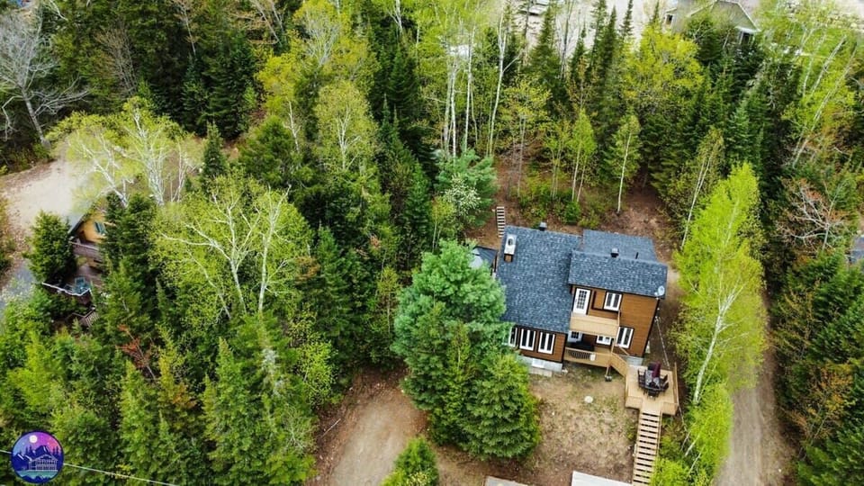 Chalet en forêt