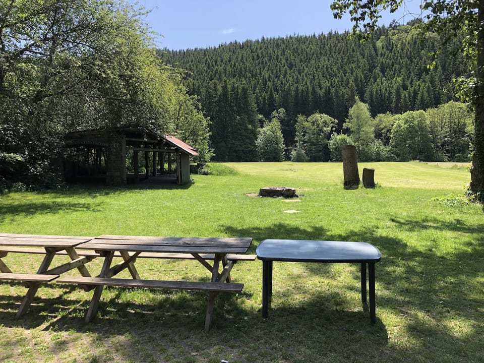 View from Holiday Home [summer]