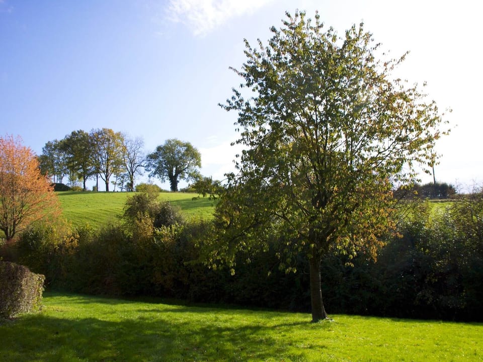 Immediate Surroundings [summer] (<1 km)