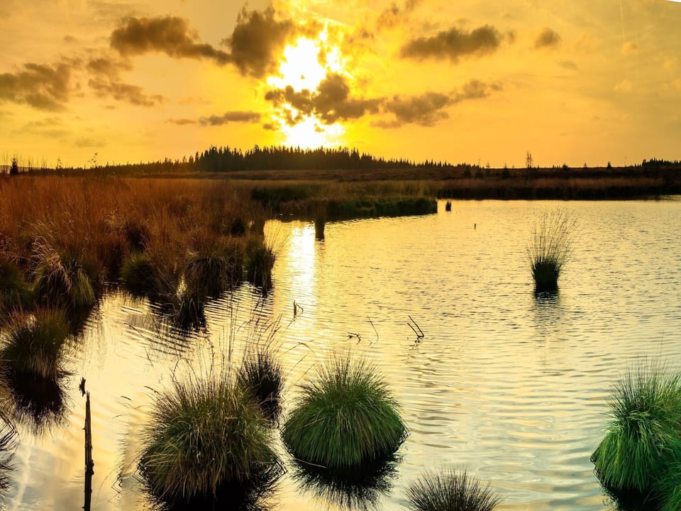 Region [summer] (>5 km)