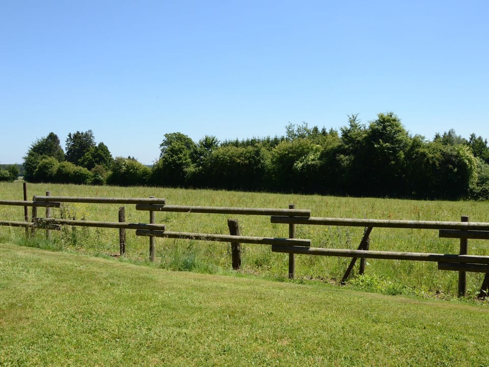 View from Holiday Home [summer]