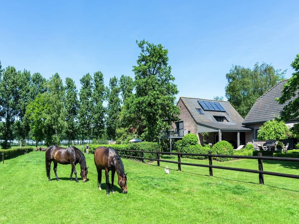 Holiday Home Exterior [summer]