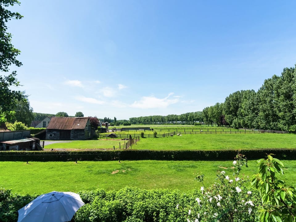 View from Holiday Home [summer]