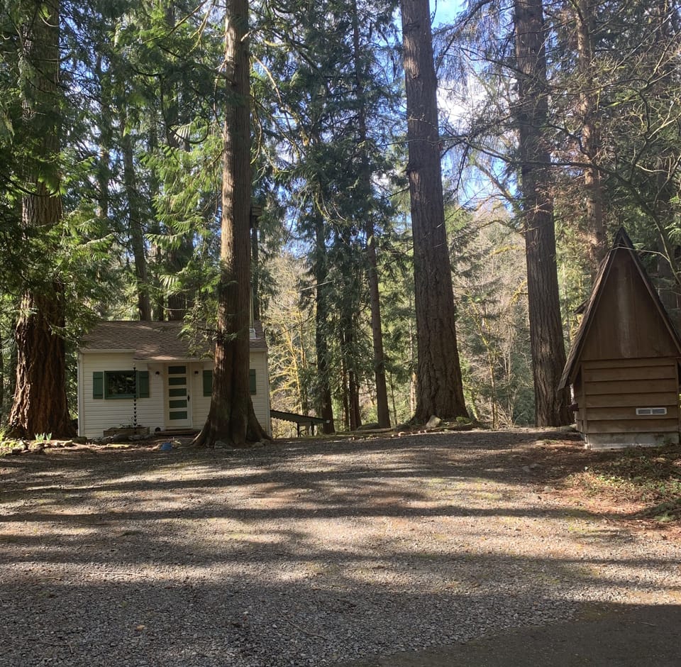 View from the street showing cabin, well-house, and off-street parking.
