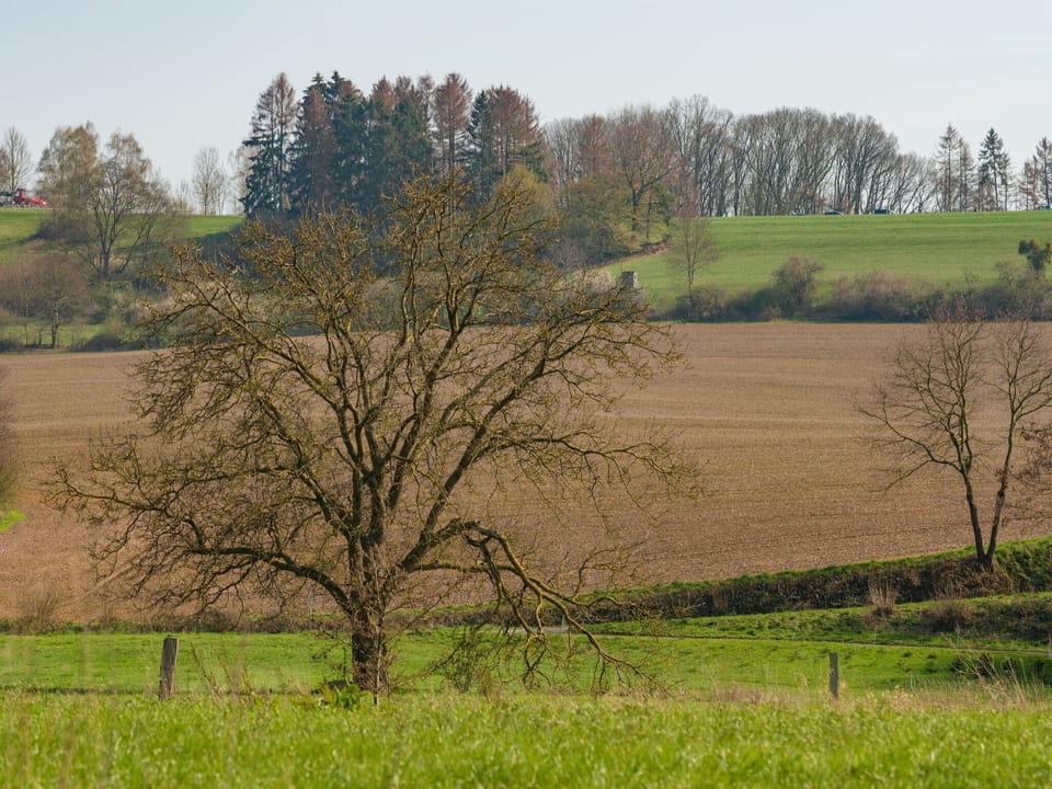 Immediate Surroundings [summer] (<1 km)