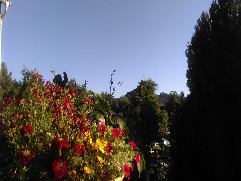 View from Holiday Home [summer]