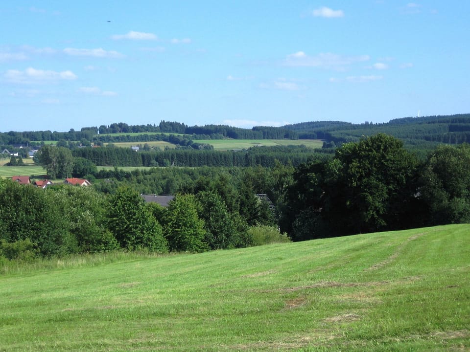 Region [summer] (>5 km)