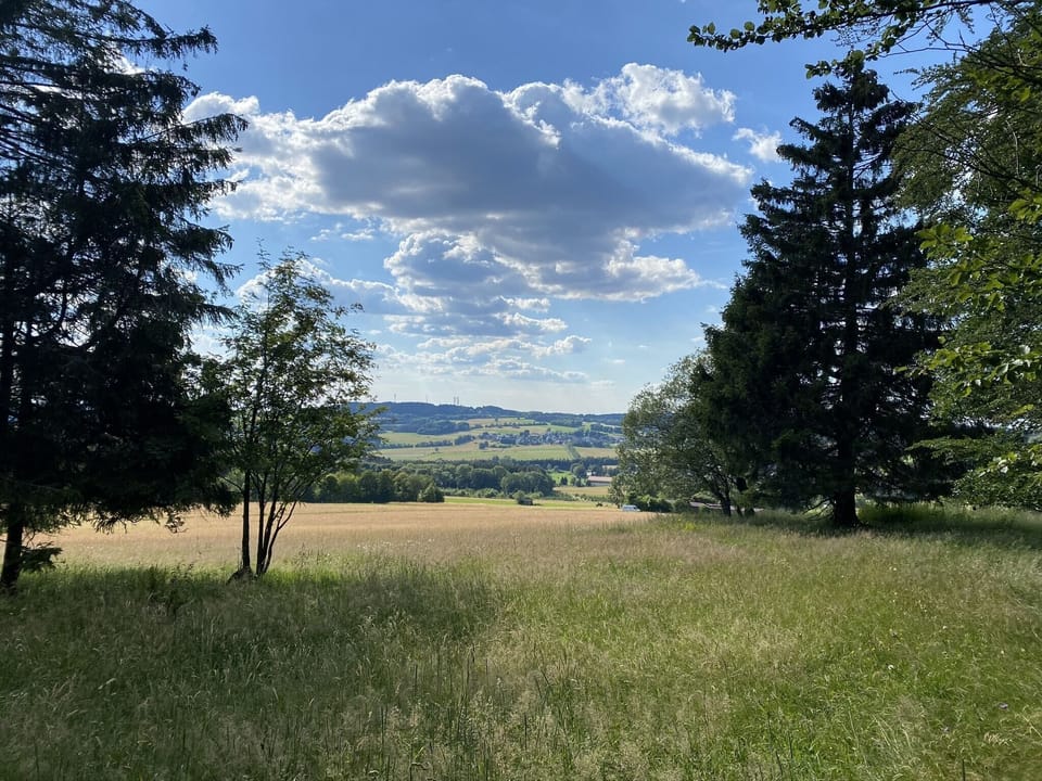 Immediate Surroundings [summer] (<1 km)