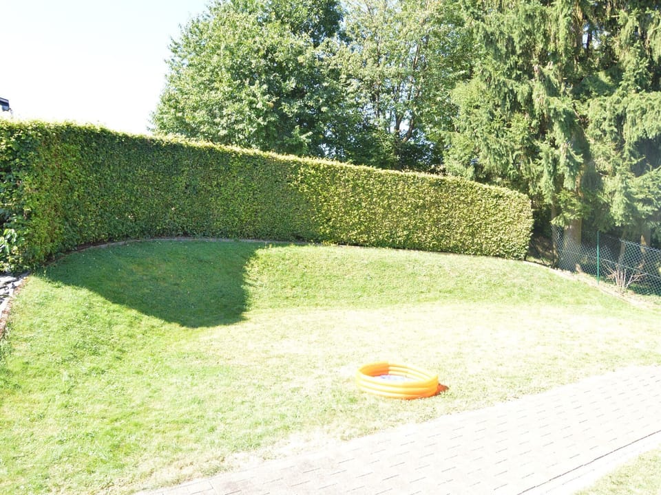 Garden [summer]