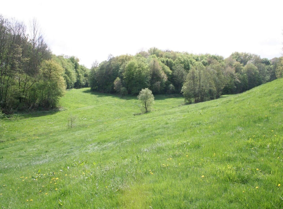 Immediate Surroundings [summer] (<1 km)