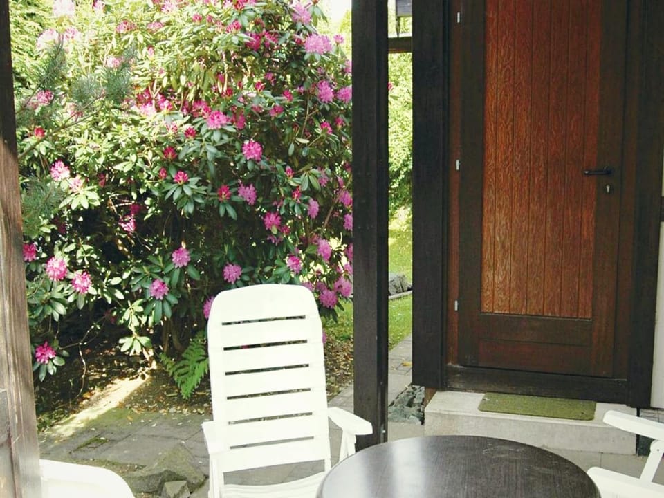 Garden [summer]