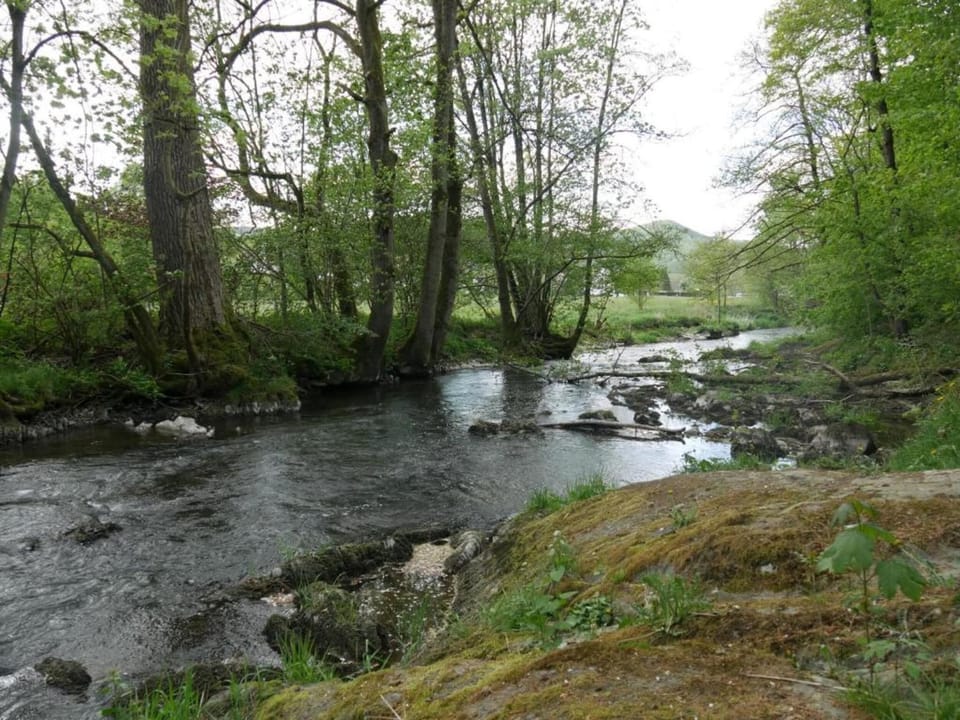 Region [summer] (>5 km)