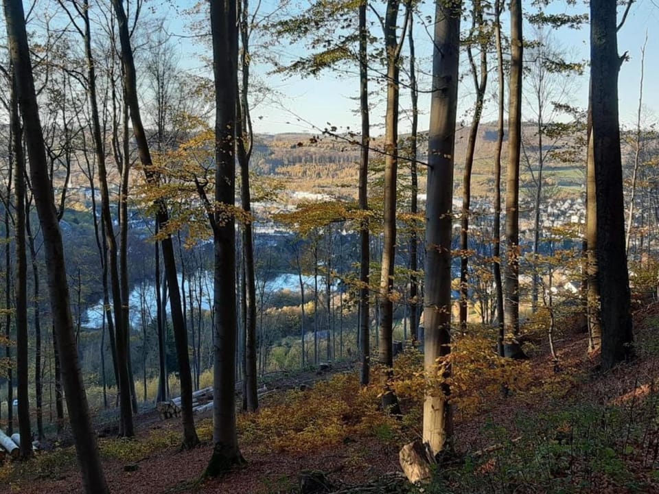 Surroundings [summer] (1-5 km)