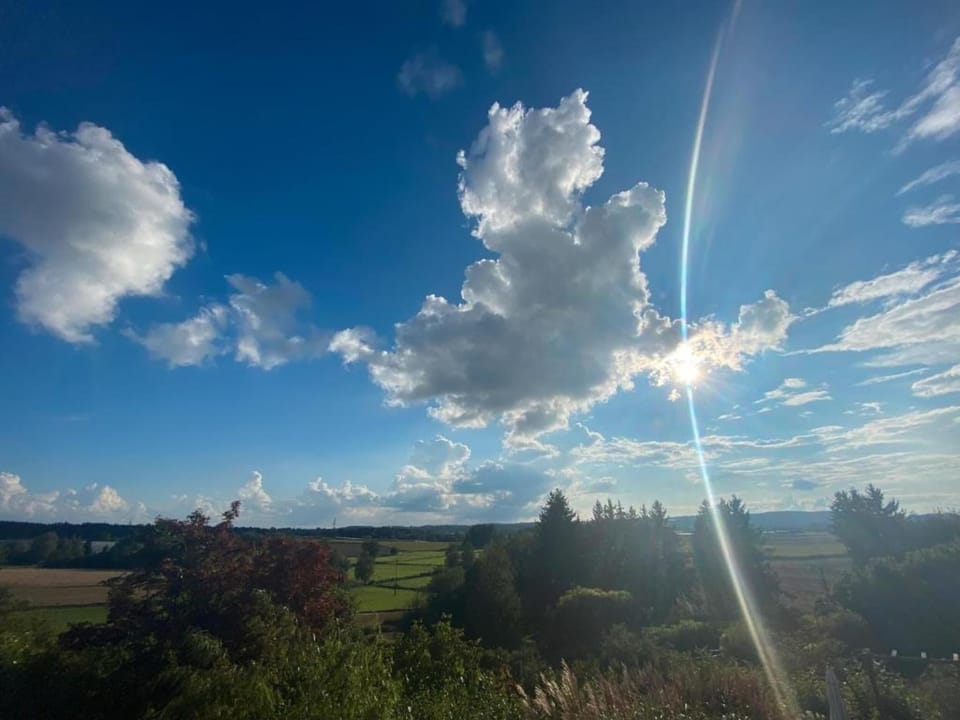 Region [summer] (>5 km)