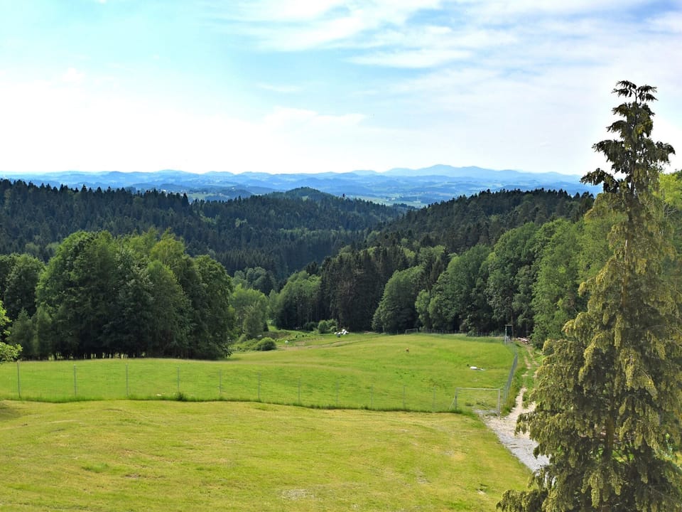 View from Holiday Home [summer]