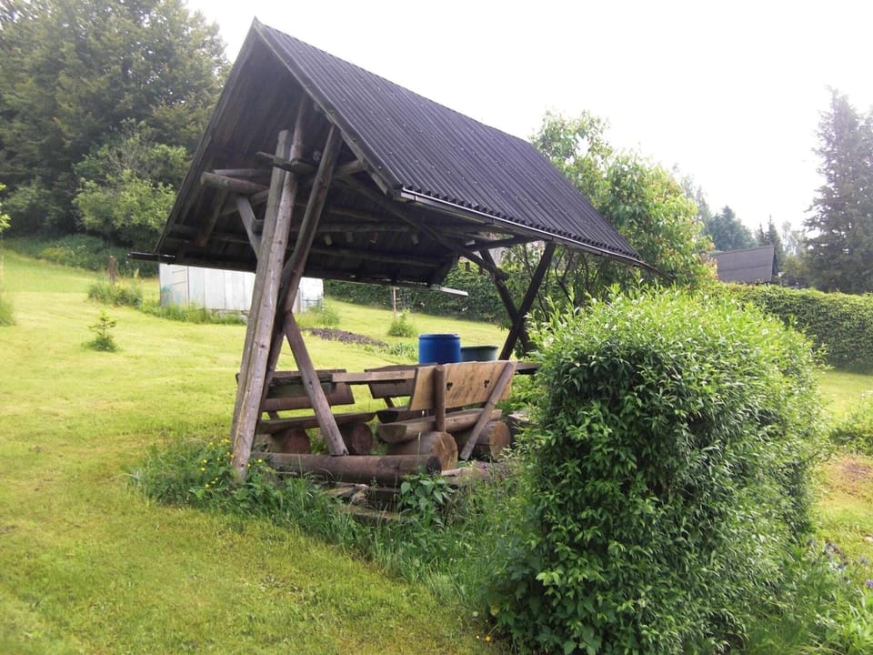 Garden [summer]