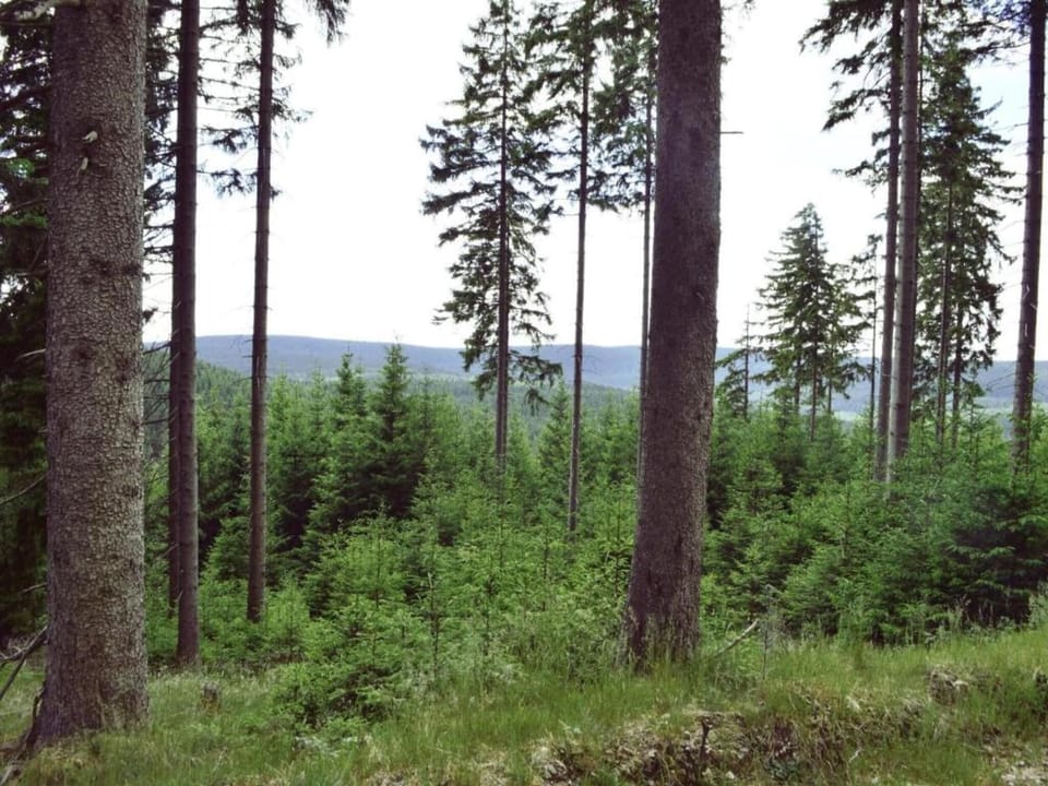 Surroundings [summer] (1-5 km)