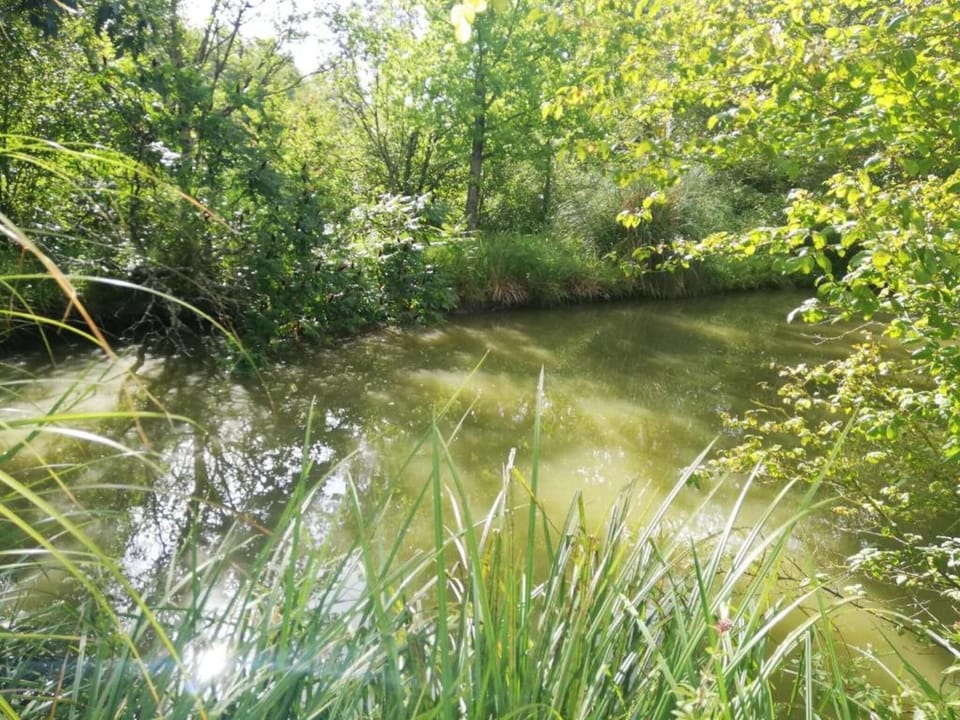 Surroundings [summer] (1-5 km)