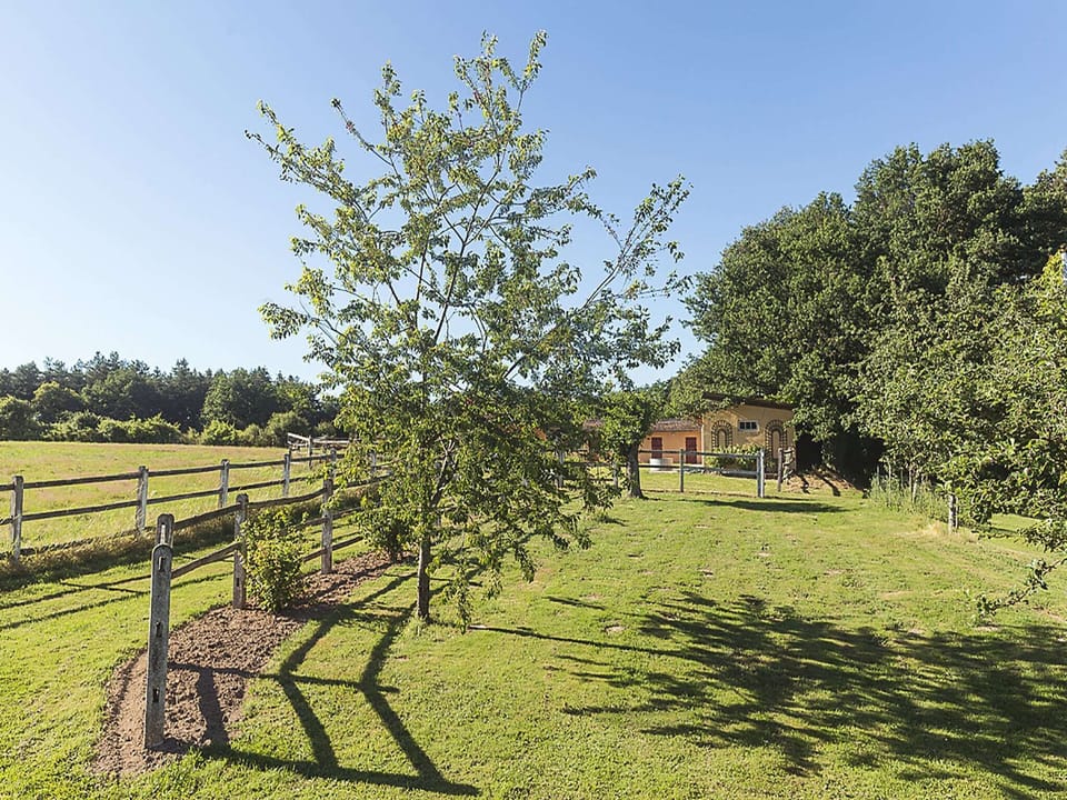 View from Holiday Home [summer]